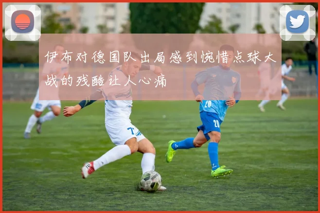 伊布对德国队出局感到惋惜点球大战的残酷让人心痛