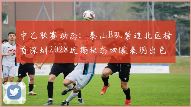 中乙联赛动态：泰山B队紧追北区榜首深圳2028近期状态回暖表现出色